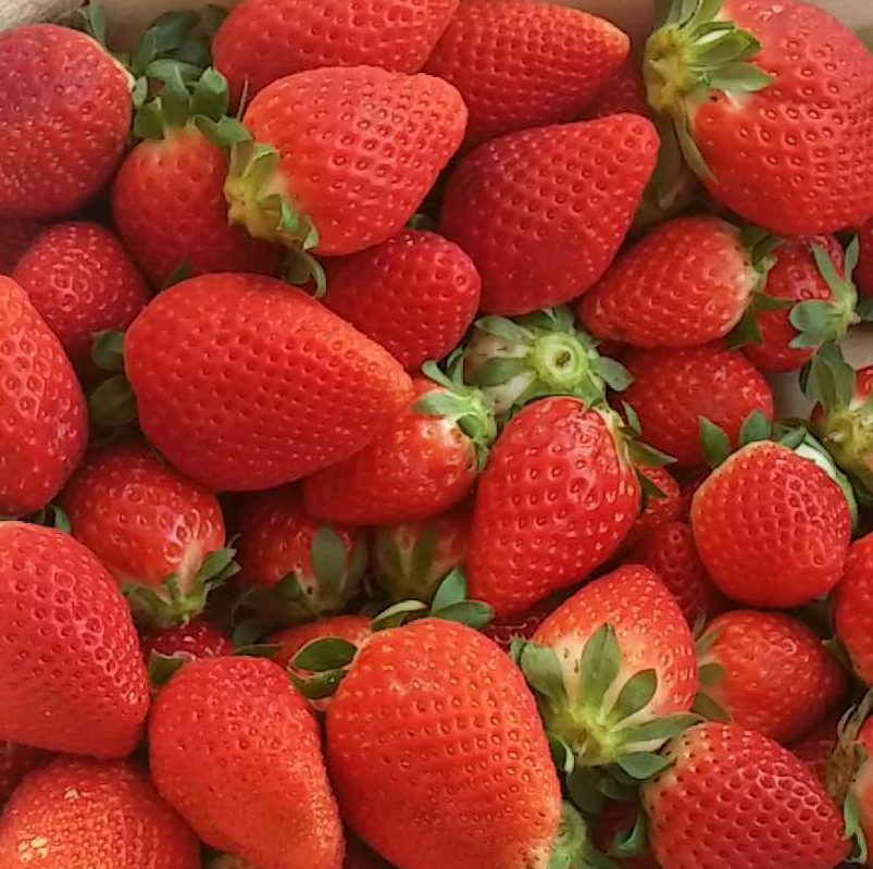 Hvað er ,,mindful eating”?